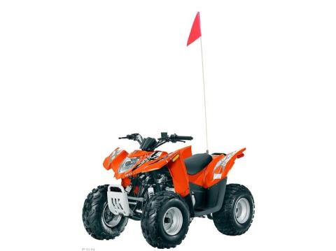 2012 Arctic Cat DVX™ 90 in Yankton, South Dakota - Photo 6