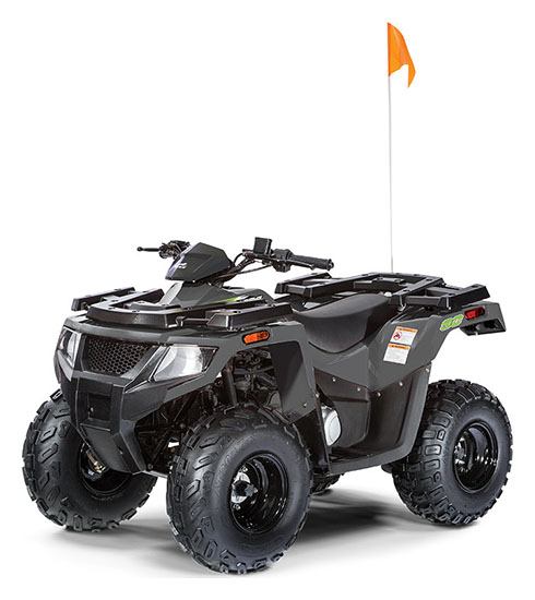 2020 Arctic Cat Alterra 90 in Fairview, Utah