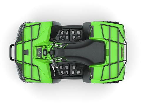 New 2022 Arctic Cat Alterra 600 EPS ATVs in Yankton, SD | Stock