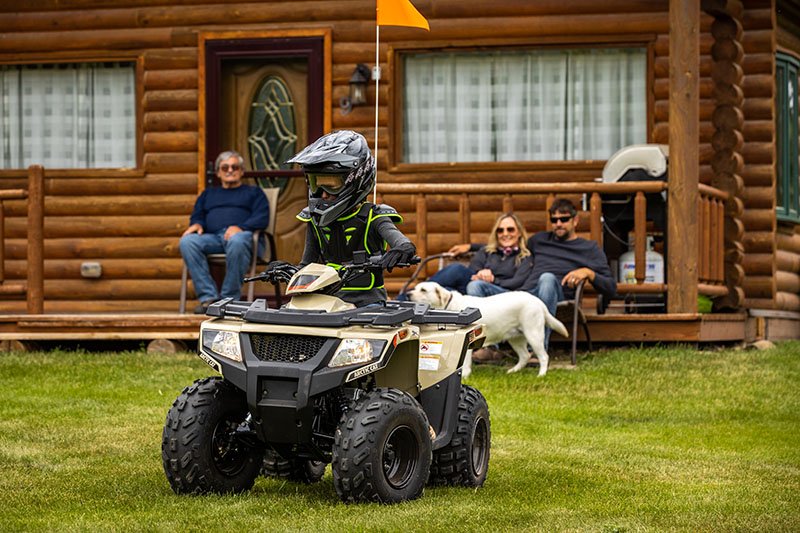 2023 Arctic Cat Alterra 90 in Kaukauna, Wisconsin - Photo 3