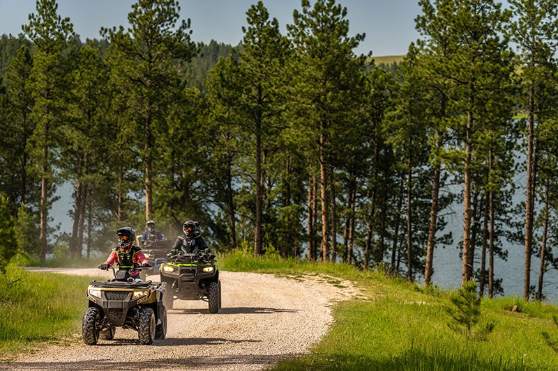 2023 Arctic Cat Alterra 300 in Kaukauna, Wisconsin - Photo 2