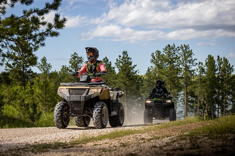 2023 Arctic Cat Alterra 300 in Kaukauna, Wisconsin - Photo 3