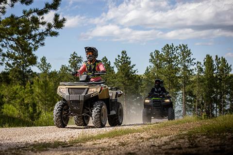 2023 Arctic Cat Alterra 300 in Kaukauna, Wisconsin - Photo 3