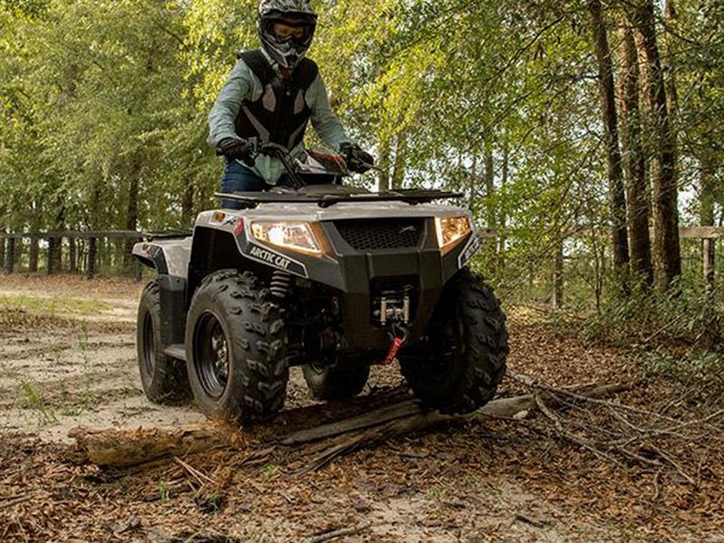 2023 Arctic Cat Alterra 450 in Kaukauna, Wisconsin - Photo 3