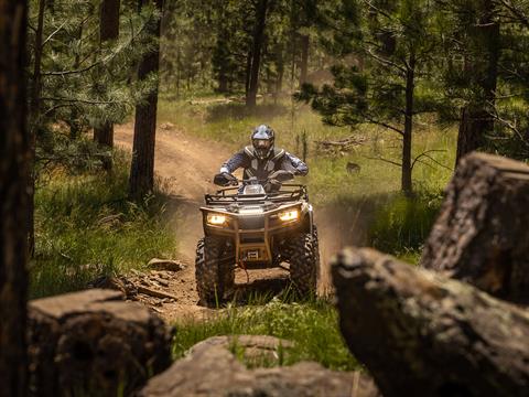 2023 Arctic Cat Alterra 600 Black Hills Edition in Yankton, South Dakota - Photo 11