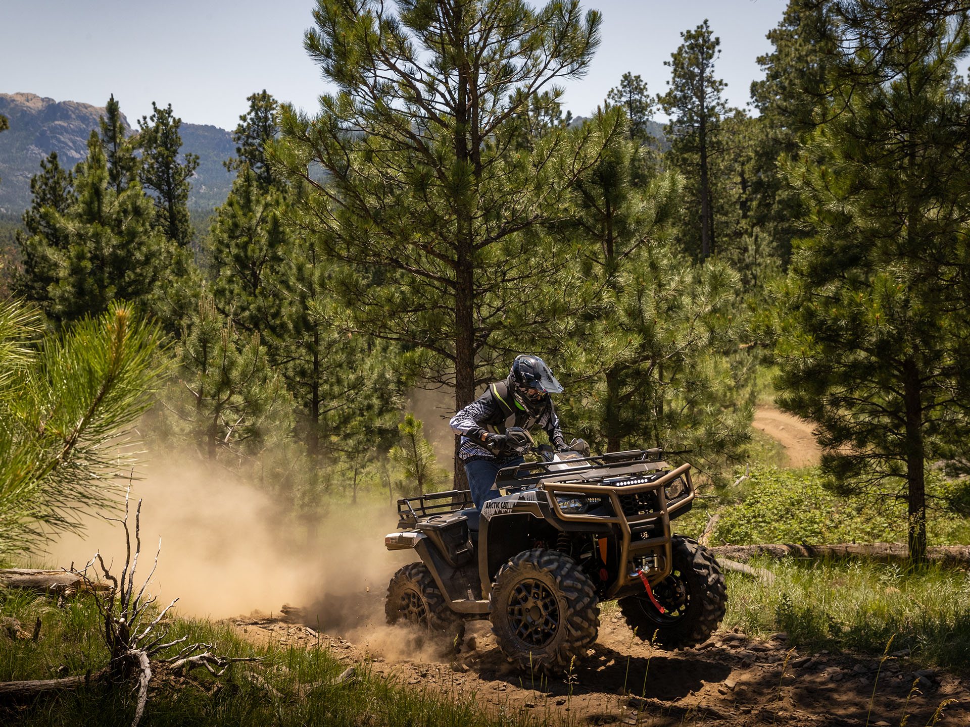 2023 Arctic Cat Alterra 600 Black Hills Edition in Yankton, South Dakota - Photo 12