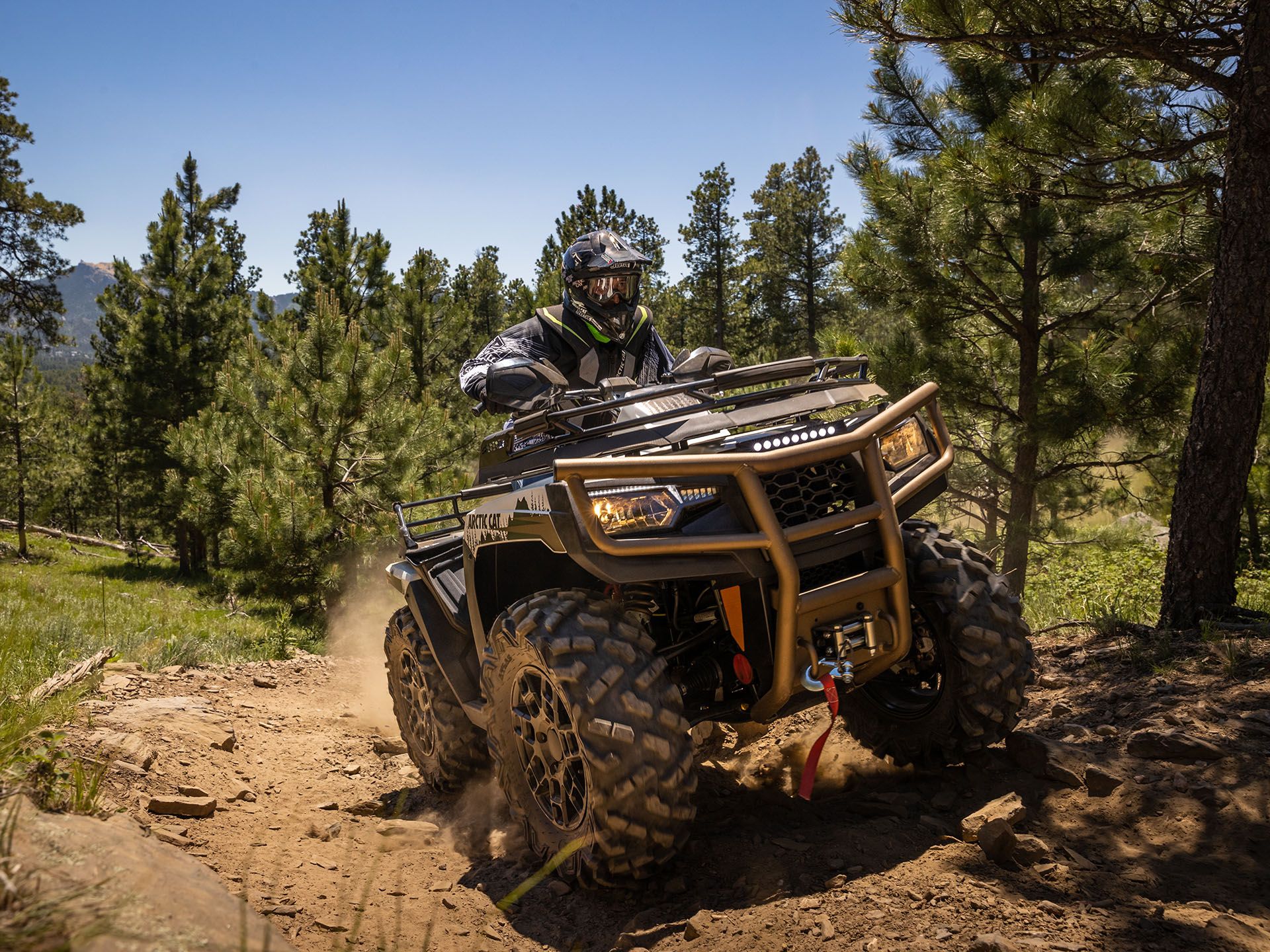 2023 Arctic Cat Alterra 600 Black Hills Edition in Yankton, South Dakota - Photo 13