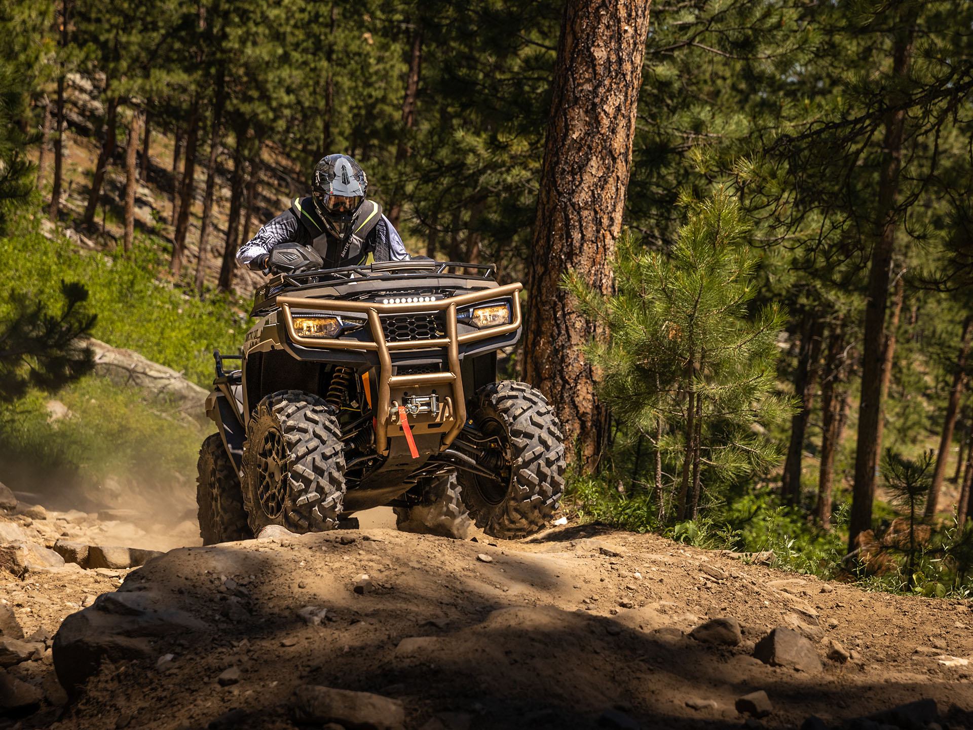 2023 Arctic Cat Alterra 600 Black Hills Edition in Yankton, South Dakota - Photo 14