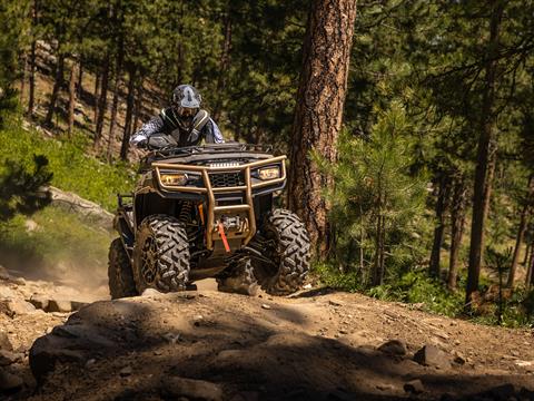 2023 Arctic Cat Alterra 600 Black Hills Edition in Yankton, South Dakota - Photo 14