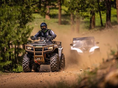 2023 Arctic Cat Alterra 600 Black Hills Edition in Yankton, South Dakota - Photo 17