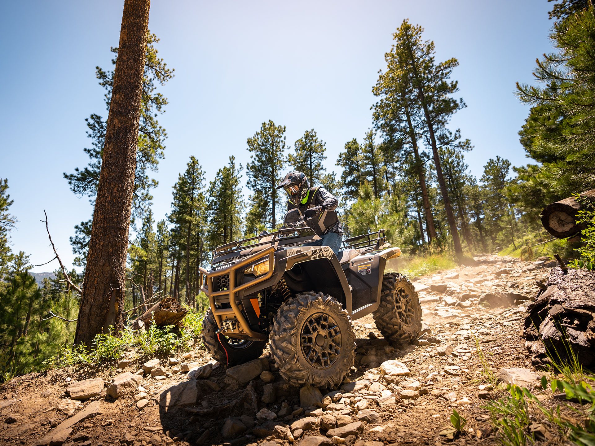 2023 Arctic Cat Alterra 600 Black Hills Edition in Yankton, South Dakota - Photo 19