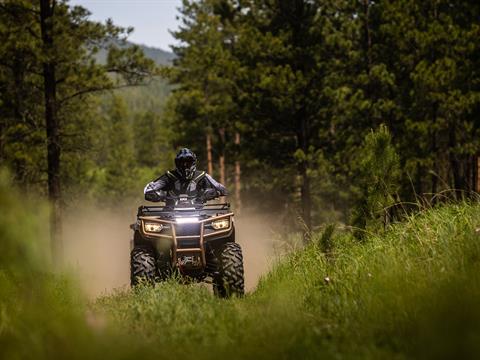 2023 Arctic Cat Alterra 600 Black Hills Edition in Yankton, South Dakota - Photo 20
