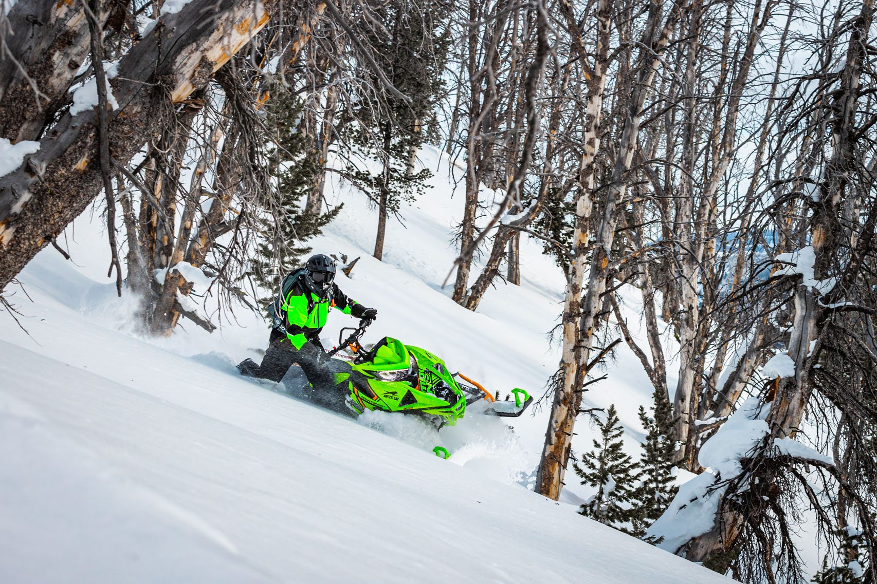 New 2023 Arctic Cat M 8000 Mountain Cat Alpha One 146 2.6 ATAC Snowmobiles  in Barrington, NH
