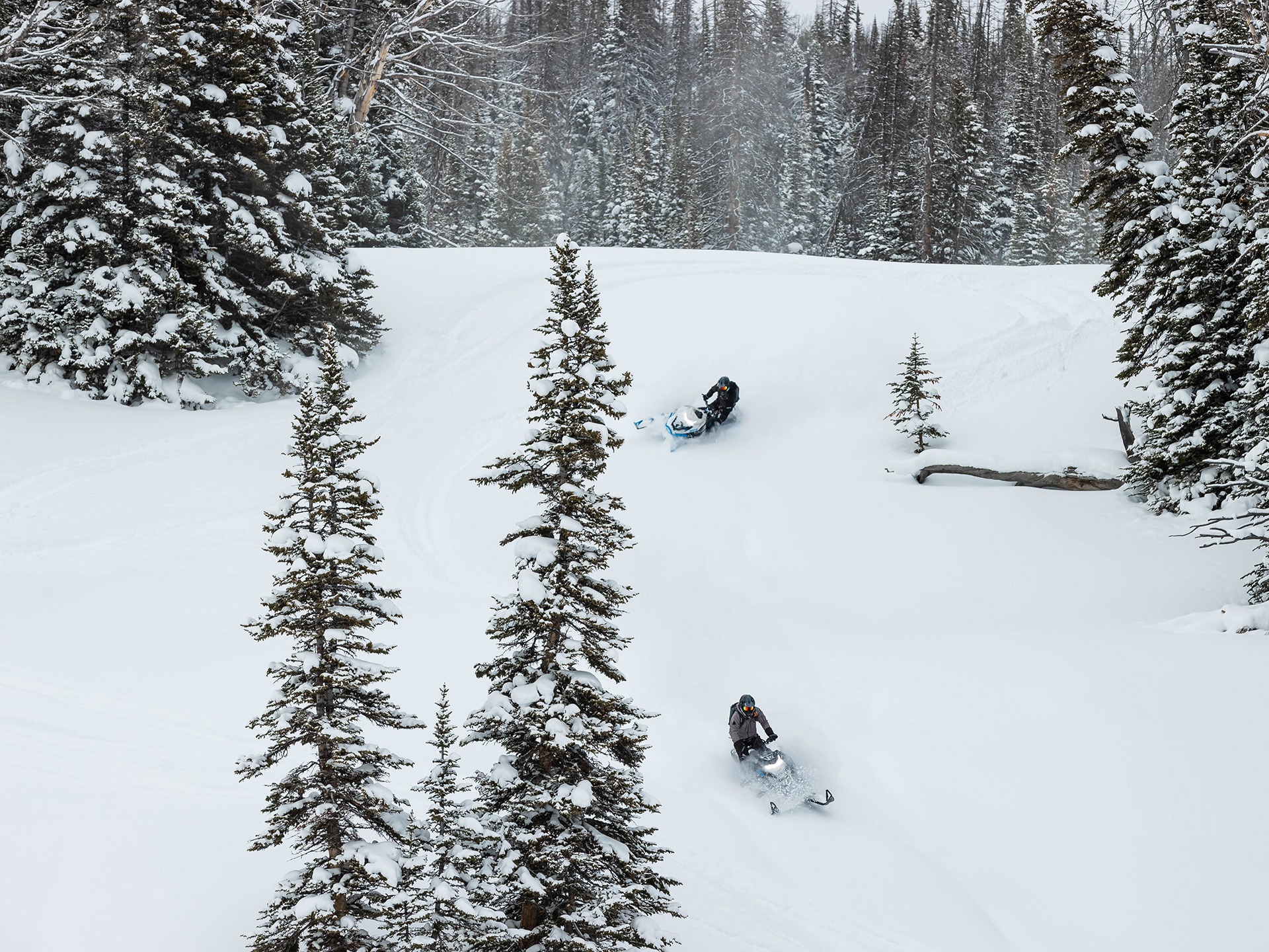 New 2024 Arctic Cat M 600 Alpha One 154 2.6 ES | Snowmobiles