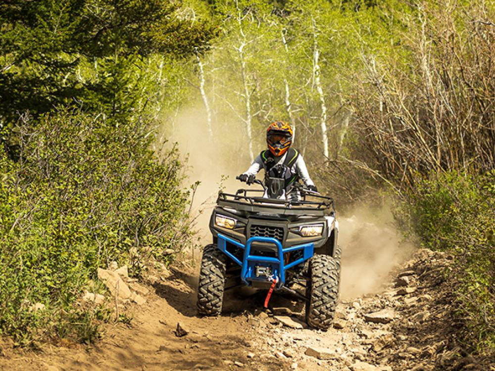 2026 Arctic Cat Alterra 600 Limited in Grand Rapids, Minnesota - Photo 6