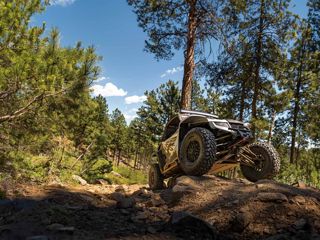 2026 Arctic Cat Wildcat XX Black Hills Edition in Grand Rapids, Minnesota - Photo 7