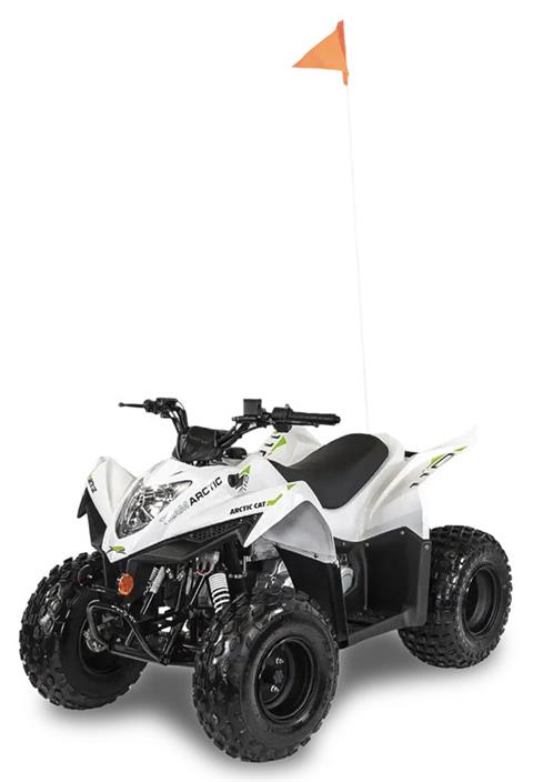 New 2027 Arctic Cat Alterra 450, Asheboro NC | Specs, Price