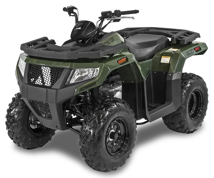 GABRIELLE BUGEAUD POSITIVELY カナダ産AOR New 2027 Arctic Cat Alterra 300 | ATVs in New Durham NH | Marsh Green