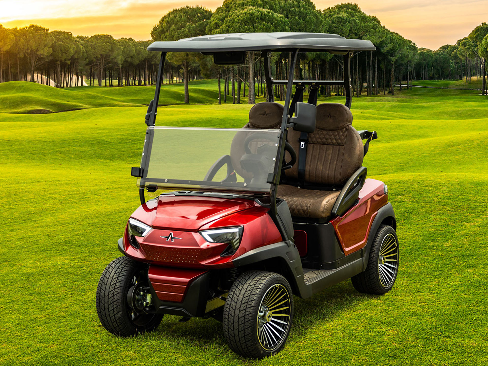 2025 Atlas Carts 2 Passenger in Madera, California - Photo 8