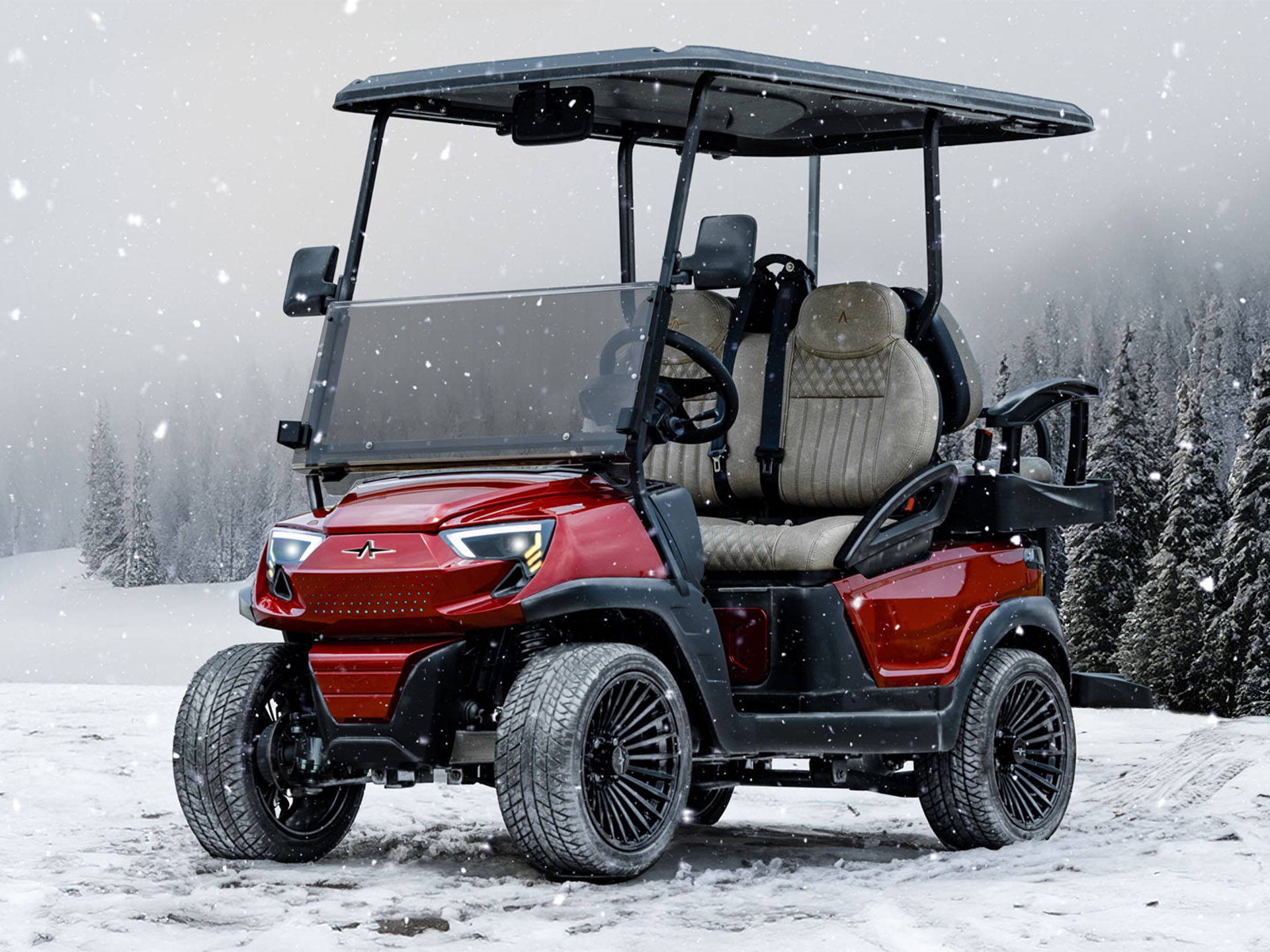 2025 Atlas Carts 4 Passenger in Madera, California - Photo 8