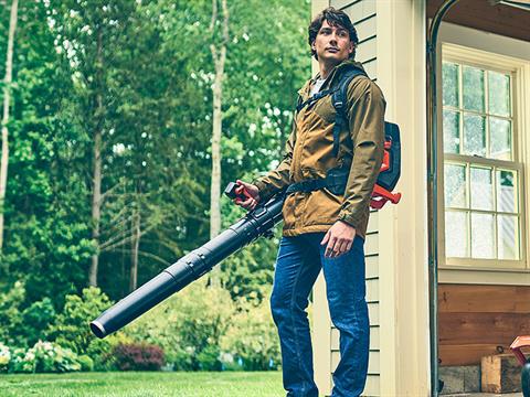 Bad Boy Mowers 80V Backpack Blower (battery and charger included) in Marionville, Missouri - Photo 10