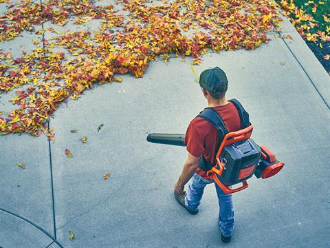 Bad Boy Mowers 80V Backpack Blower (battery and charger included) in Marionville, Missouri - Photo 15