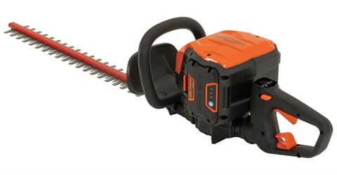 Bad Boy Mowers 80V Hedge Trimmer in Saint Joseph, Minnesota