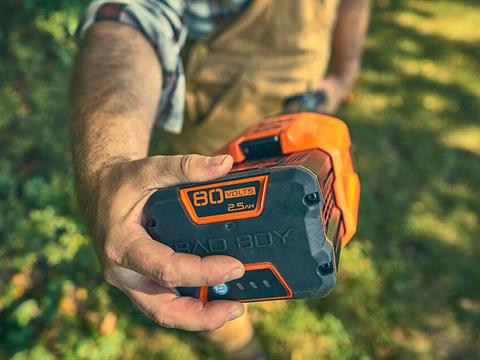 Bad Boy Mowers 80V Pole Saw (battery and charger included) in Marionville, Missouri - Photo 7