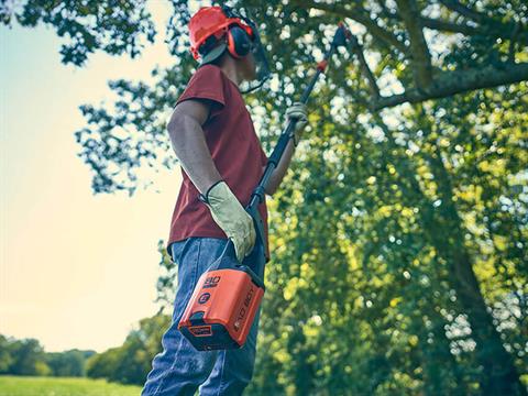 Bad Boy Mowers 80V Pole Saw (battery and charger included) in Marionville, Missouri - Photo 14