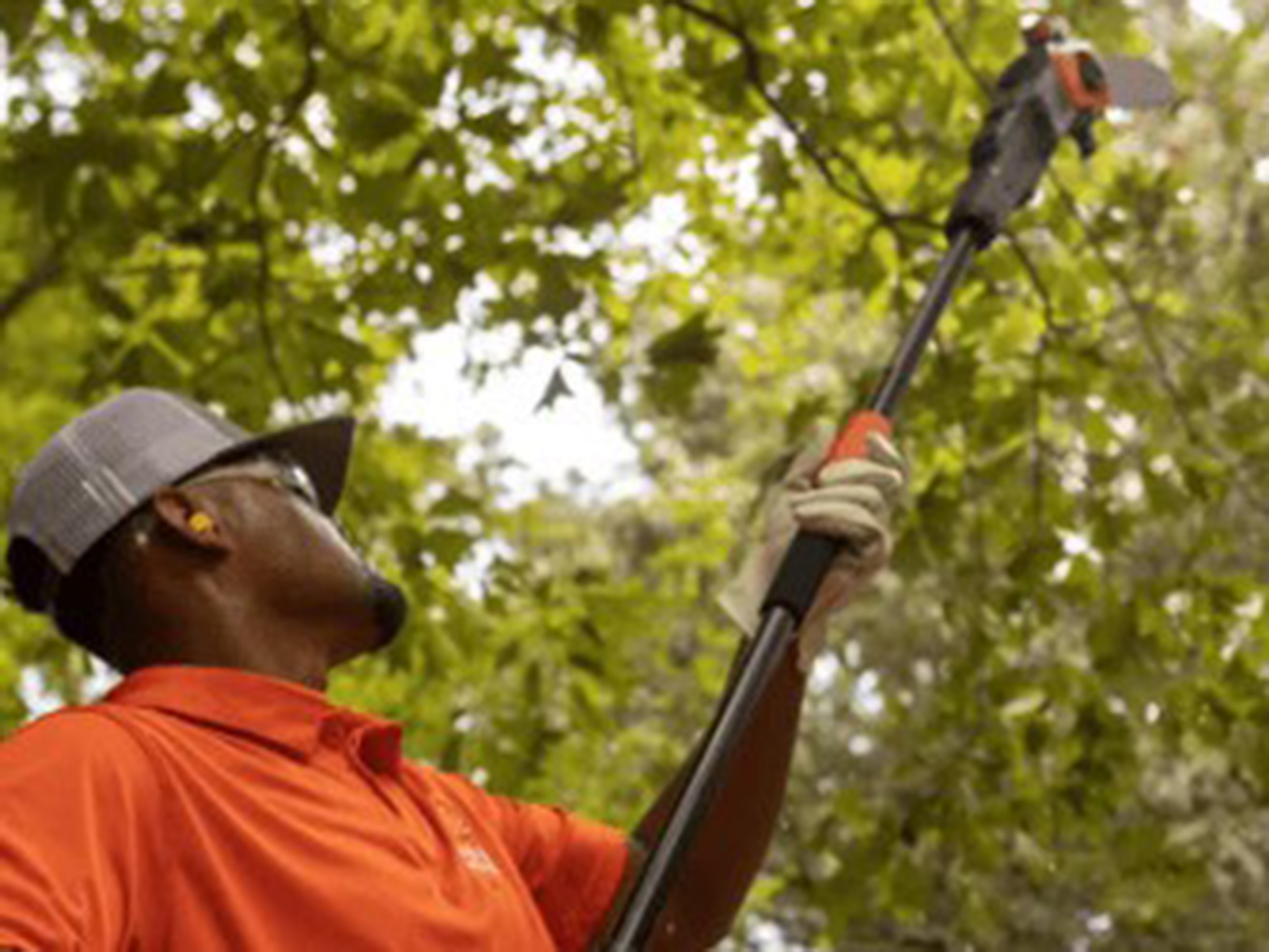 Bad Boy Mowers 80V Pole Saw (tool only) in Marionville, Missouri - Photo 15