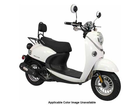 New 2022 Bintelli Scooters Escape 49 cc, Columbia SC | Specs