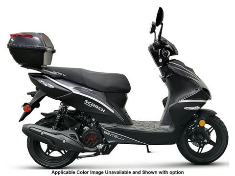 New 2022 Bintelli Scooters Scorch 150 cc, Columbia SC | Specs