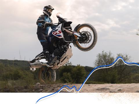 2024 BMW F 900 GS in Fort Myers, Florida - Photo 13