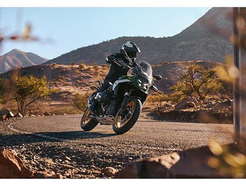 2025 BMW R 1300 GS in Lexington, Kentucky - Photo 9
