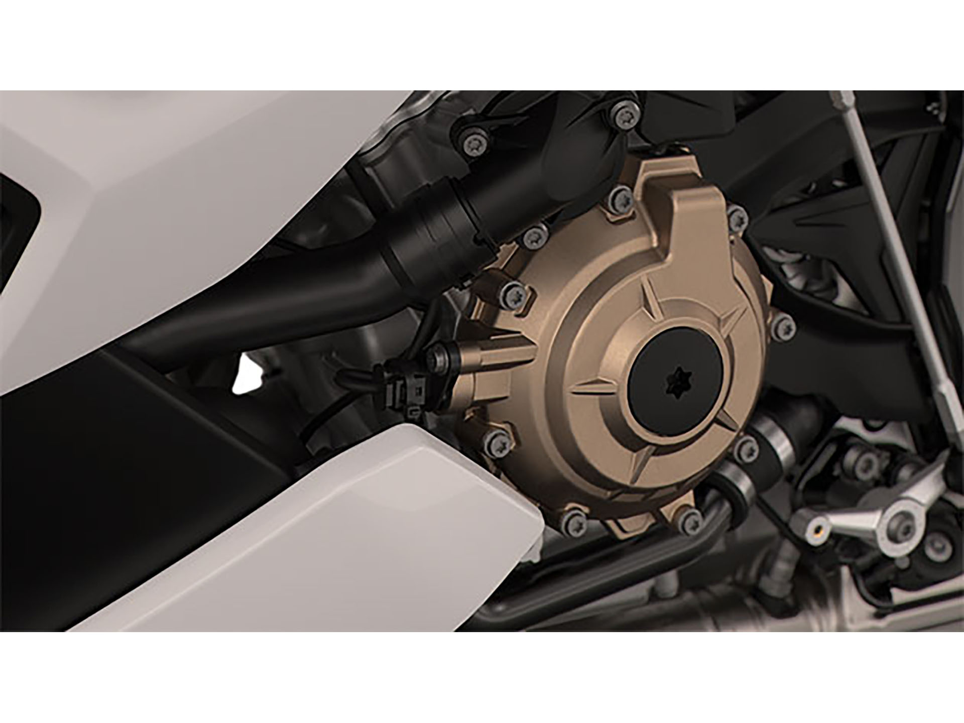 2024 BMW S 1000 R in Fort Myers, Florida - Photo 5