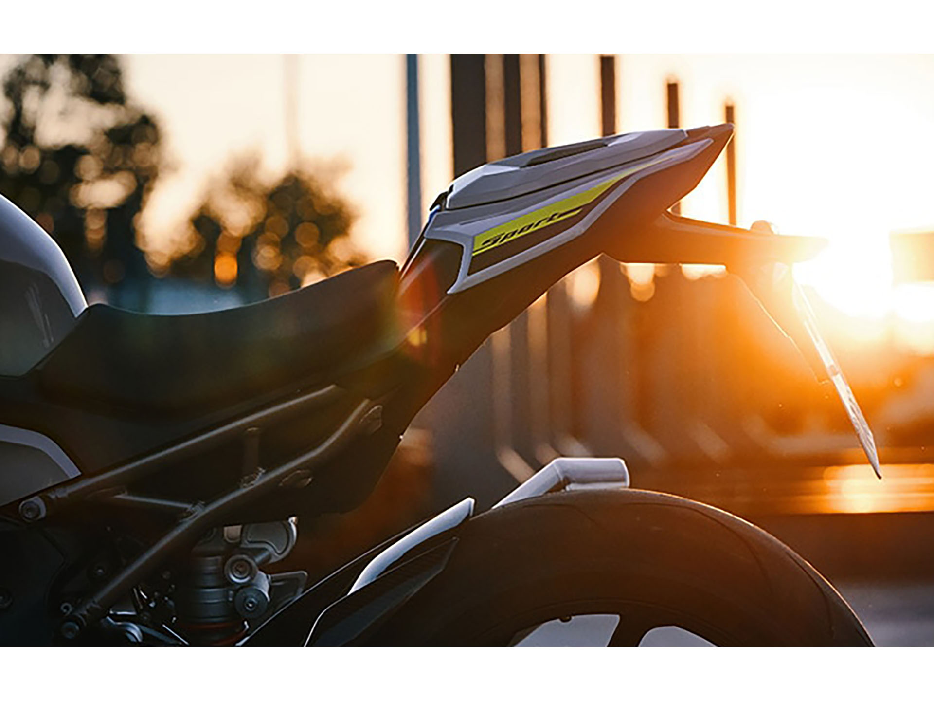 2024 BMW S 1000 R in Fort Myers, Florida - Photo 10