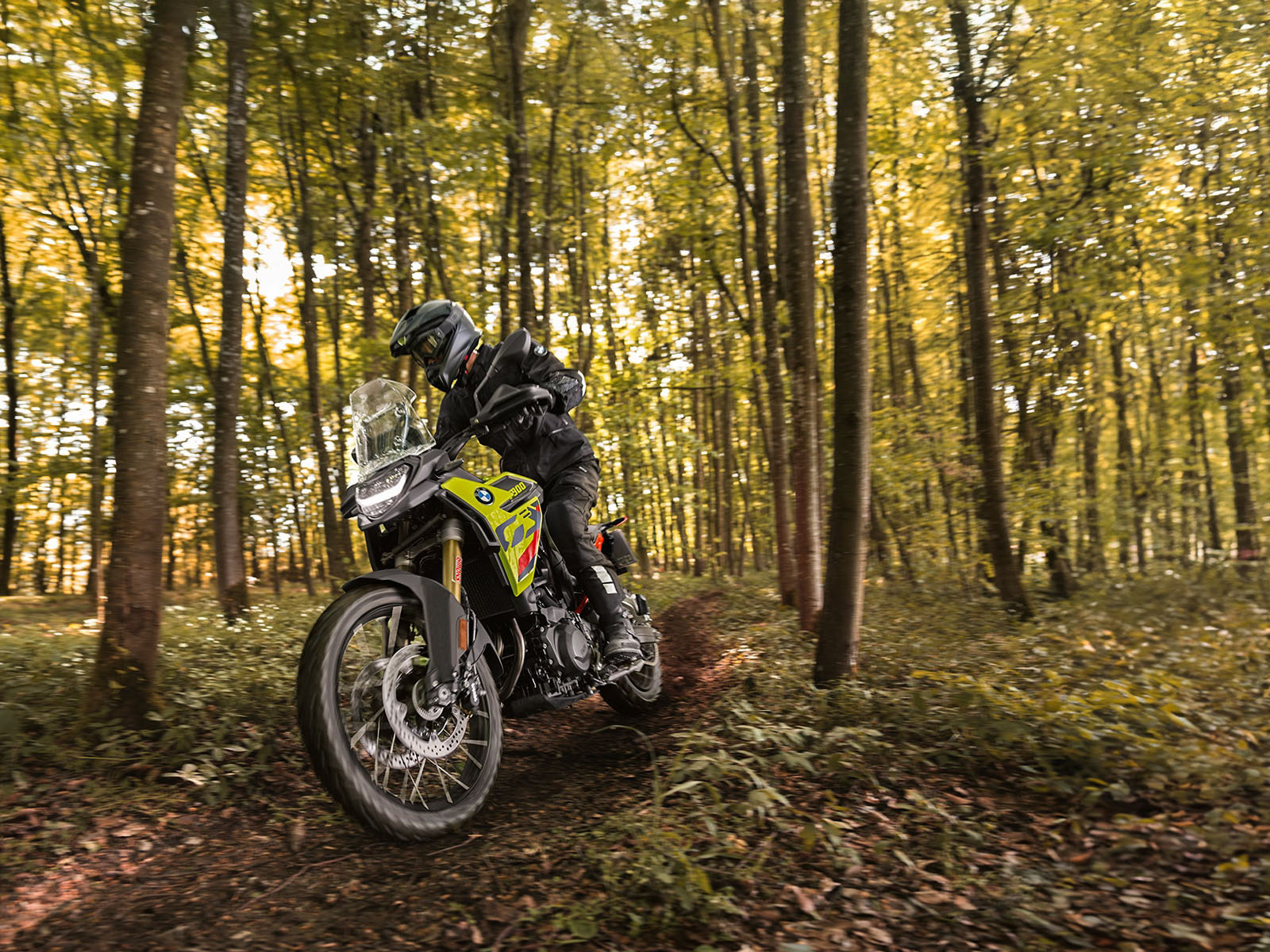2026 BMW F 900 GS in NOT DEFINED, NOT DEFINED - Photo 6