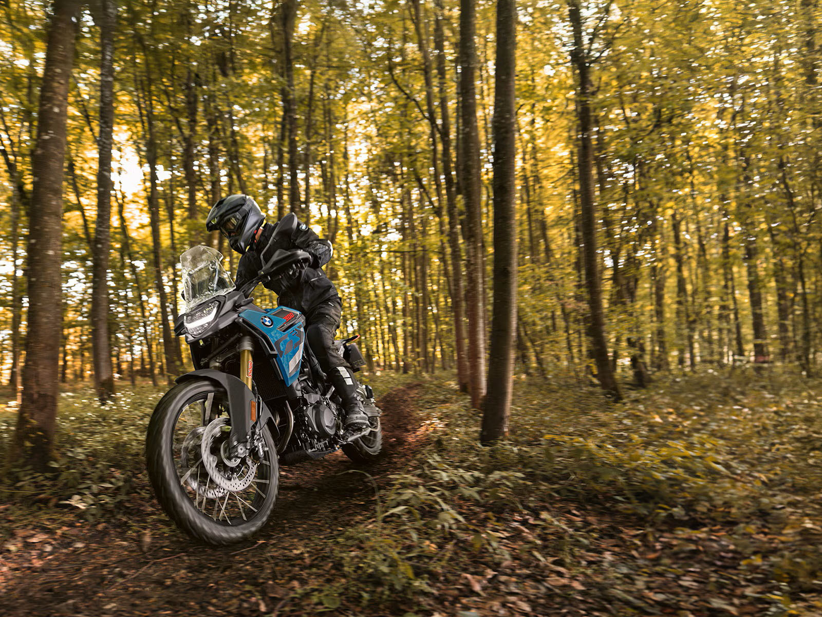 2026 BMW F 900 GS in Chattanooga, Tennessee - Photo 9