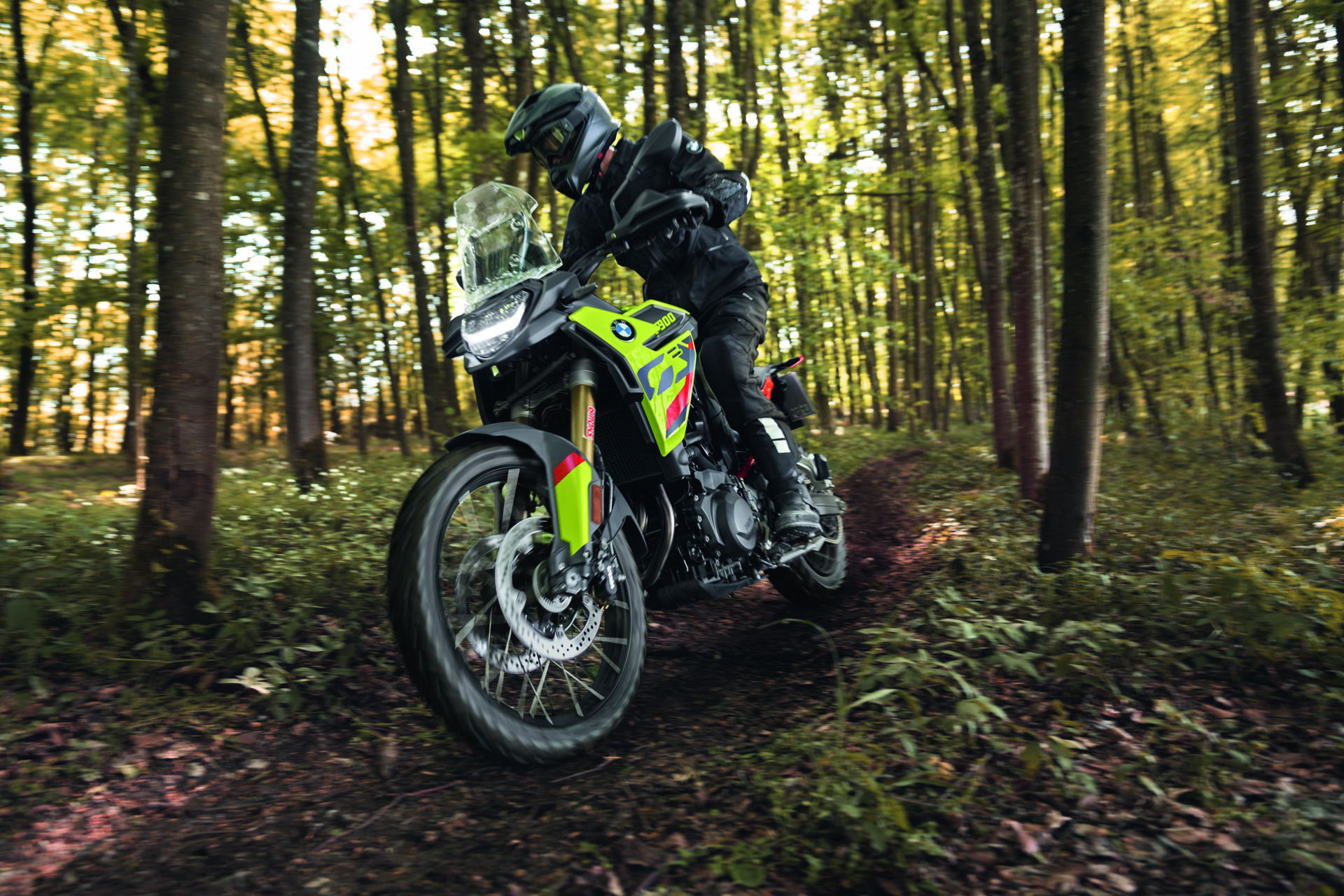 2026 BMW F 900 GS in Chattanooga, Tennessee - Photo 16