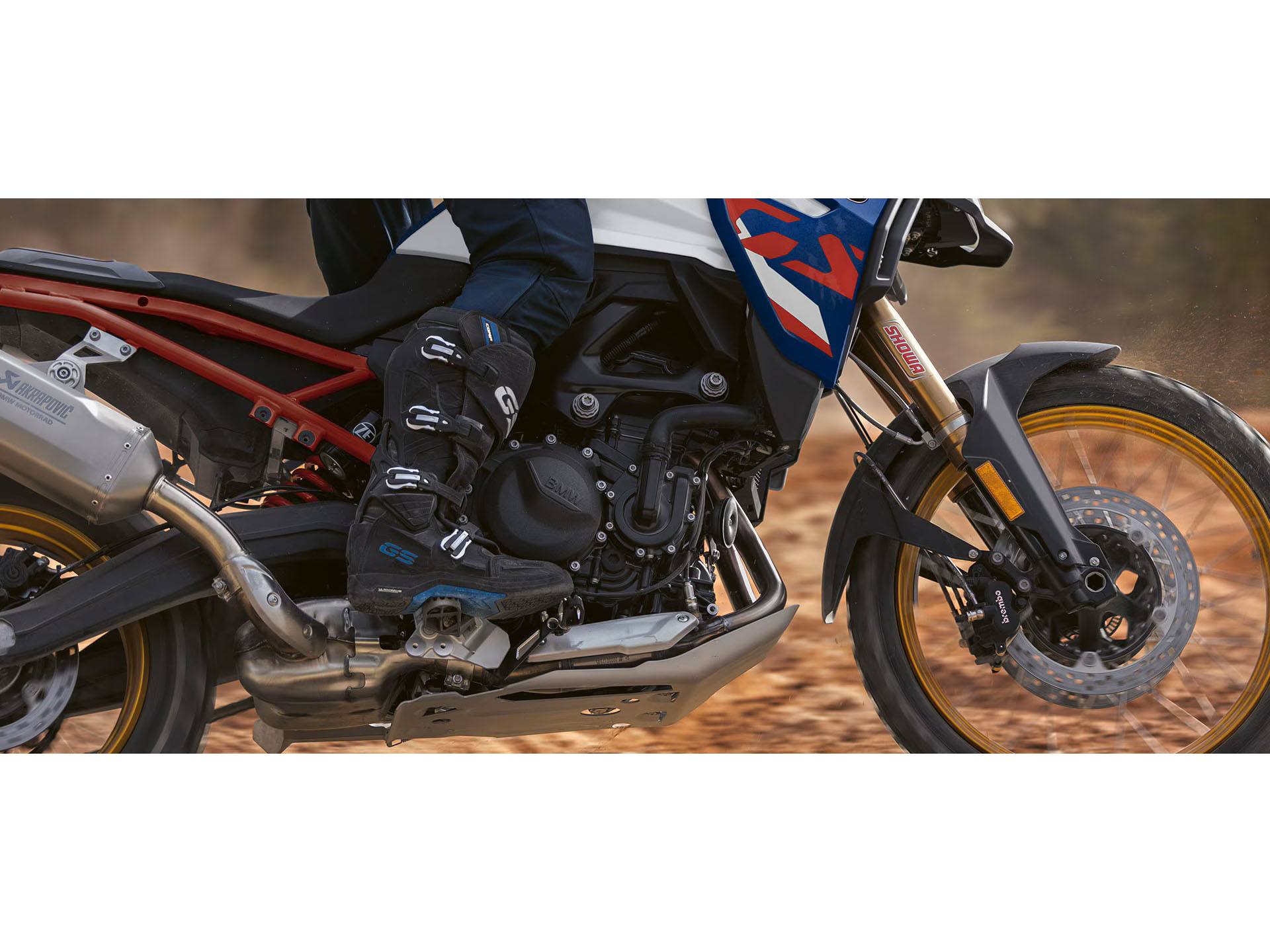 2026 BMW F 900 GS in Chattanooga, Tennessee - Photo 8