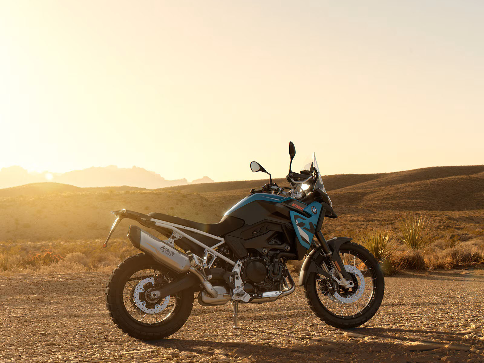 2026 BMW F 900 GS in Chattanooga, Tennessee - Photo 11