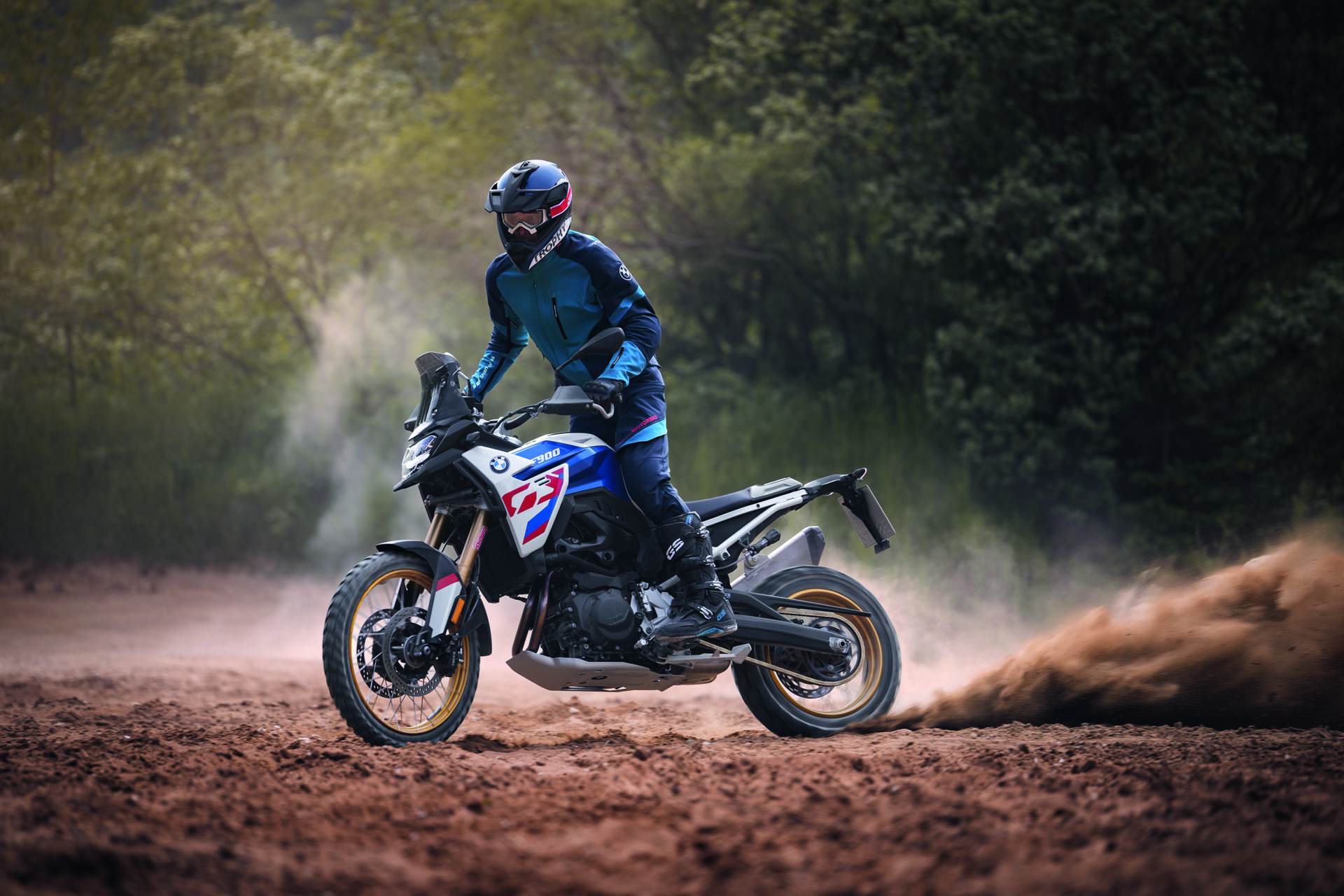 2026 BMW F 900 GS in Chattanooga, Tennessee - Photo 11