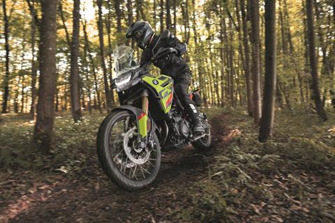 2026 BMW F 900 GS in Chattanooga, Tennessee - Photo 10