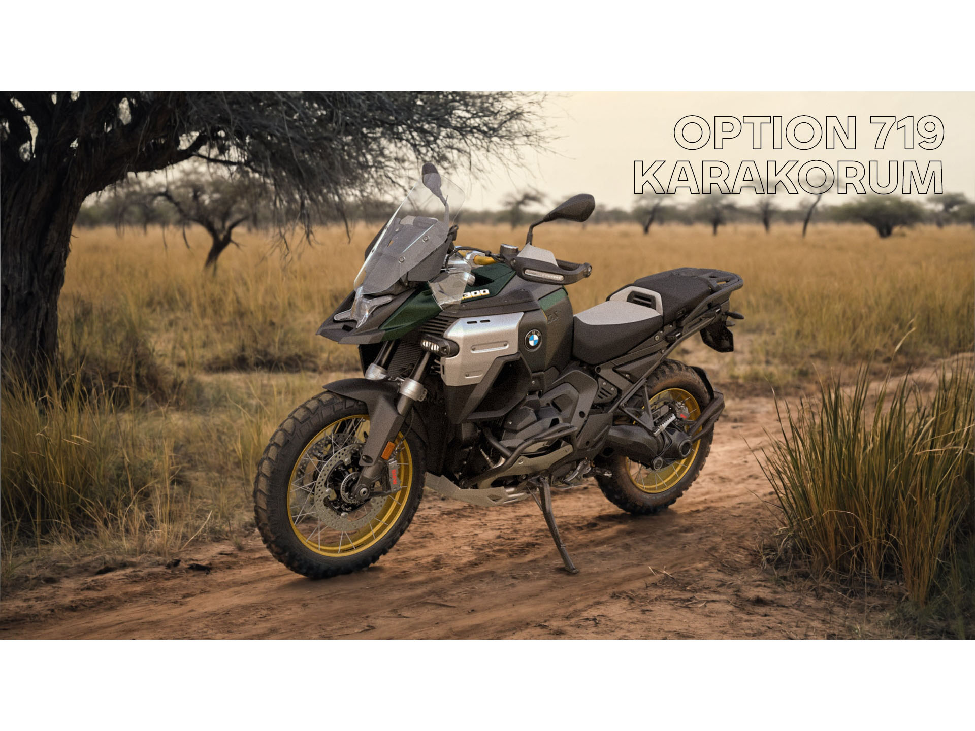 2026 BMW R 1300 GS Adventure in NOT DEFINED, NOT DEFINED - Photo 12
