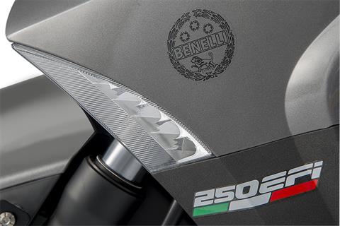 2019 Benelli Zafferano 250 EFI in Pine Bluff, Arkansas - Photo 3