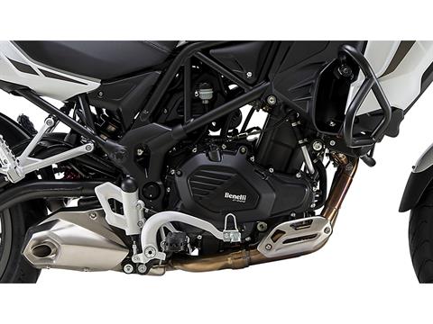 2024 Benelli TRK 502 in Pine Bluff, Arkansas - Photo 4