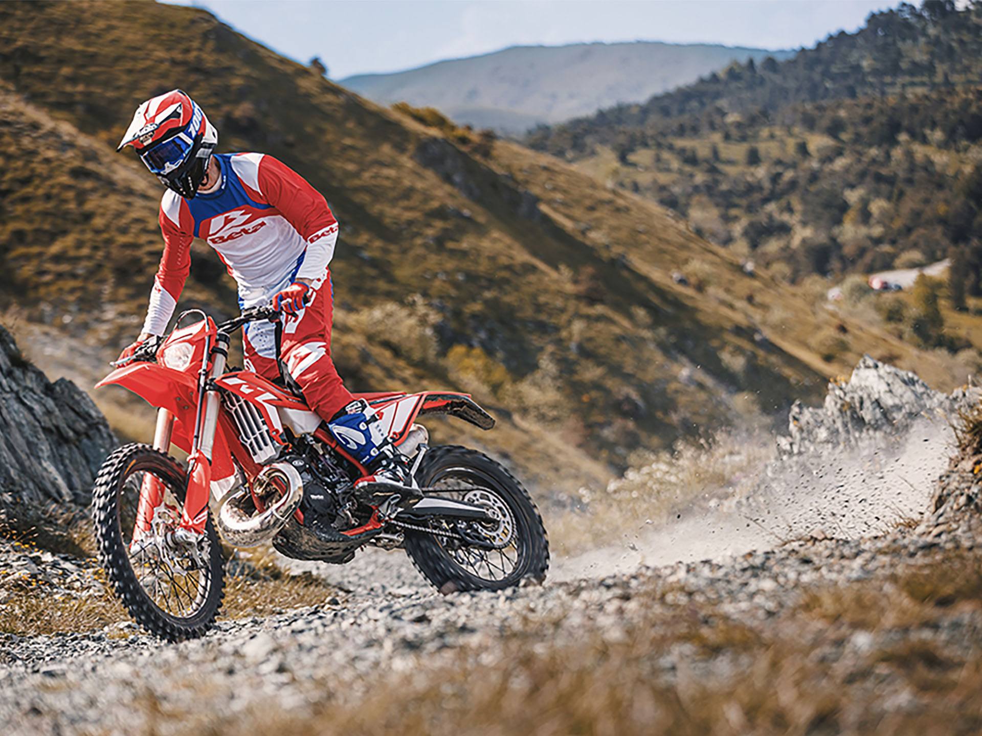 Beta freeride discount