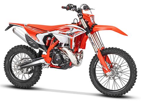 2025 Beta 300 RR X-Pro in West Bridgewater, Massachusetts