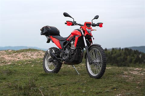 2026 Beta Alp 4.0 in Mesa, Arizona - Photo 8