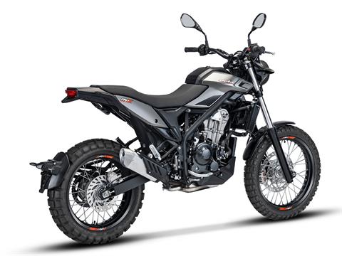 2026 Beta Alp X in West Bridgewater, Massachusetts - Photo 3